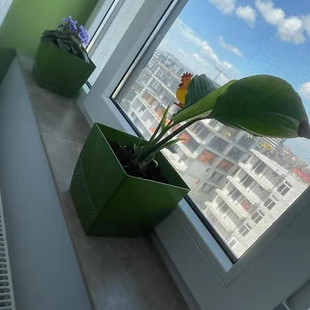 Apartmán F1rst - Mamaia Nord